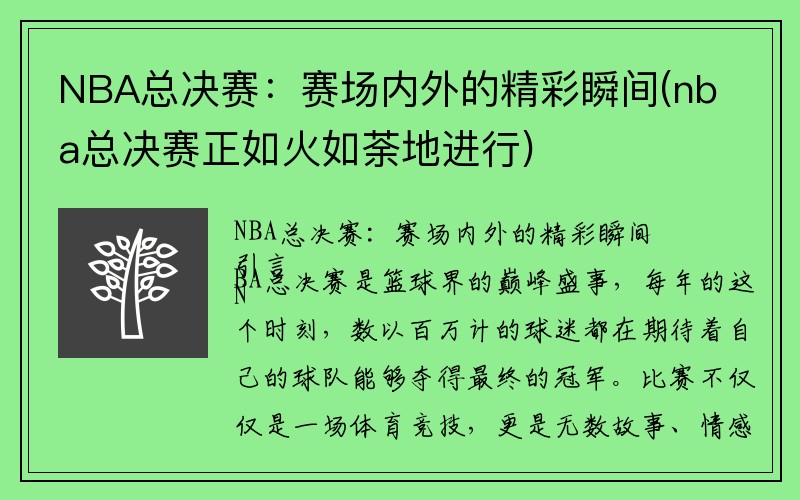 NBA总决赛：赛场内外的精彩瞬间(nba总决赛正如火如荼地进行)