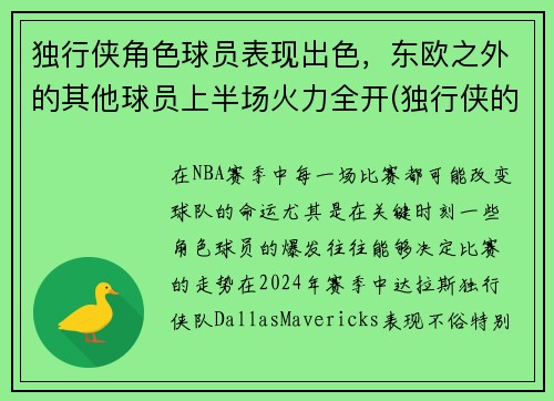 独行侠角色球员表现出色，东欧之外的其他球员上半场火力全开(独行侠的球员名单)